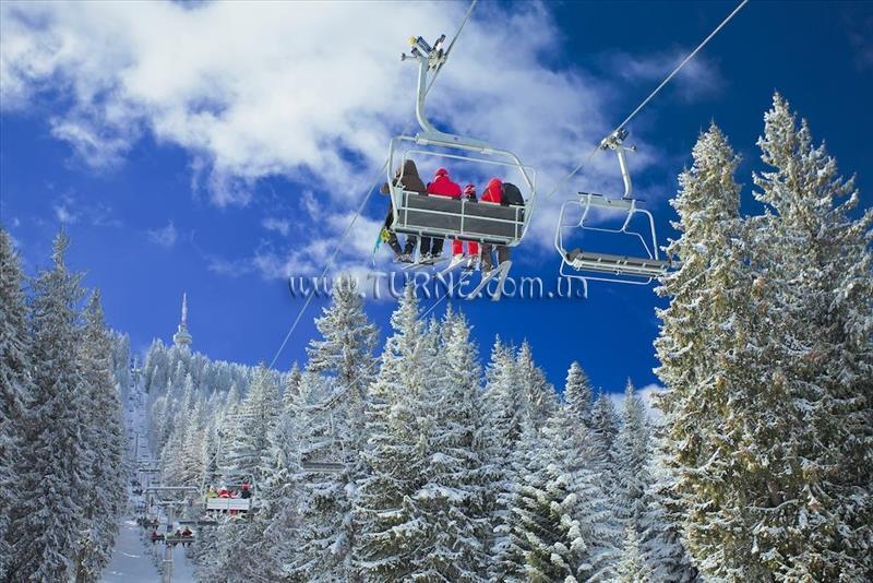 Изображение Forest Star 2*