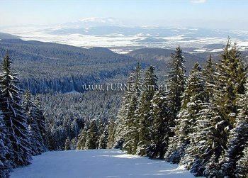 Отель Zodiac 3*