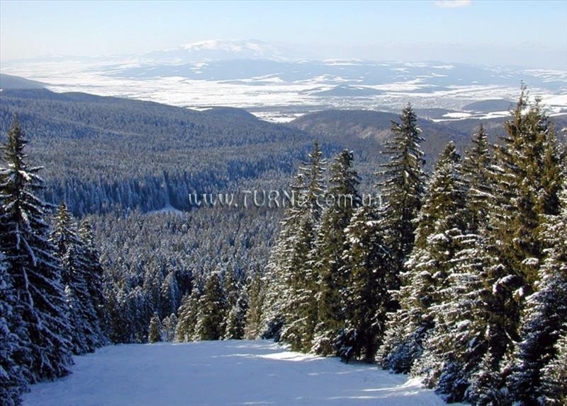 Фотография Sveti Georgi 4*