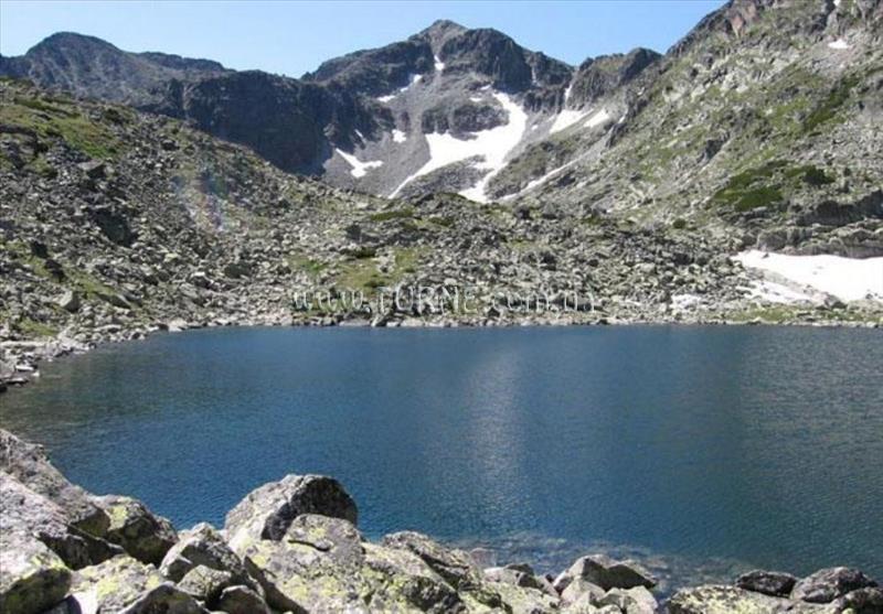 Фото Роял Плаза апартаменты