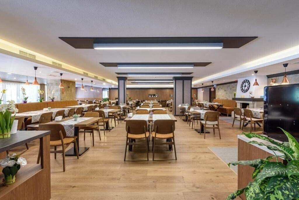 Картинка Lion Borovec 4*