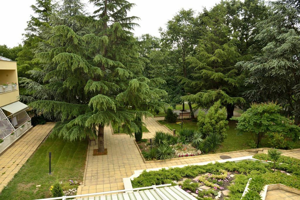 Фотография Glicinia 3*