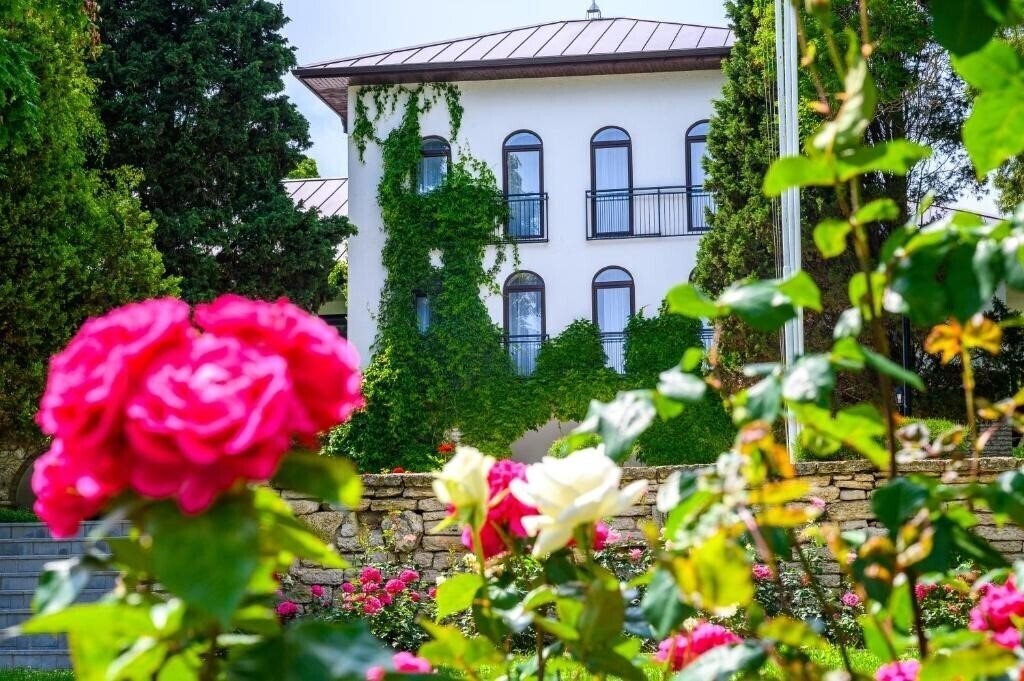 Изображение Effect Algara Beach Club (ex. Algara Beach) 4*