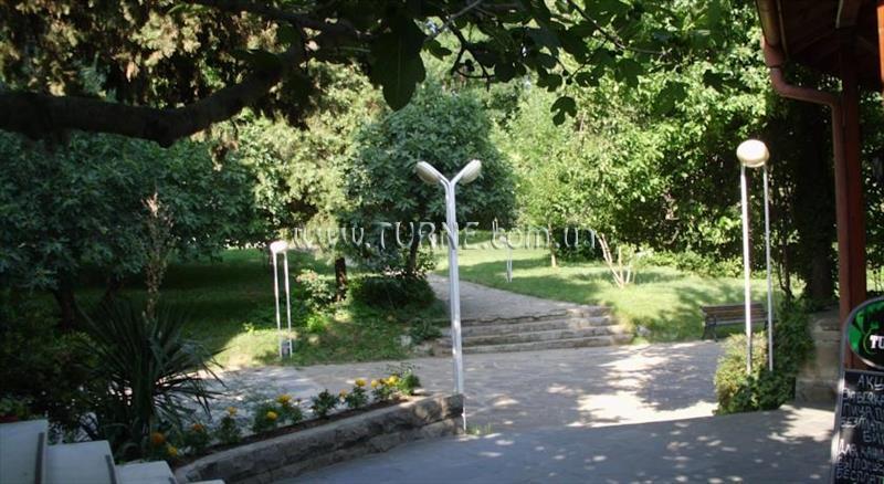 Фотография Park Hotel Oasis 3*