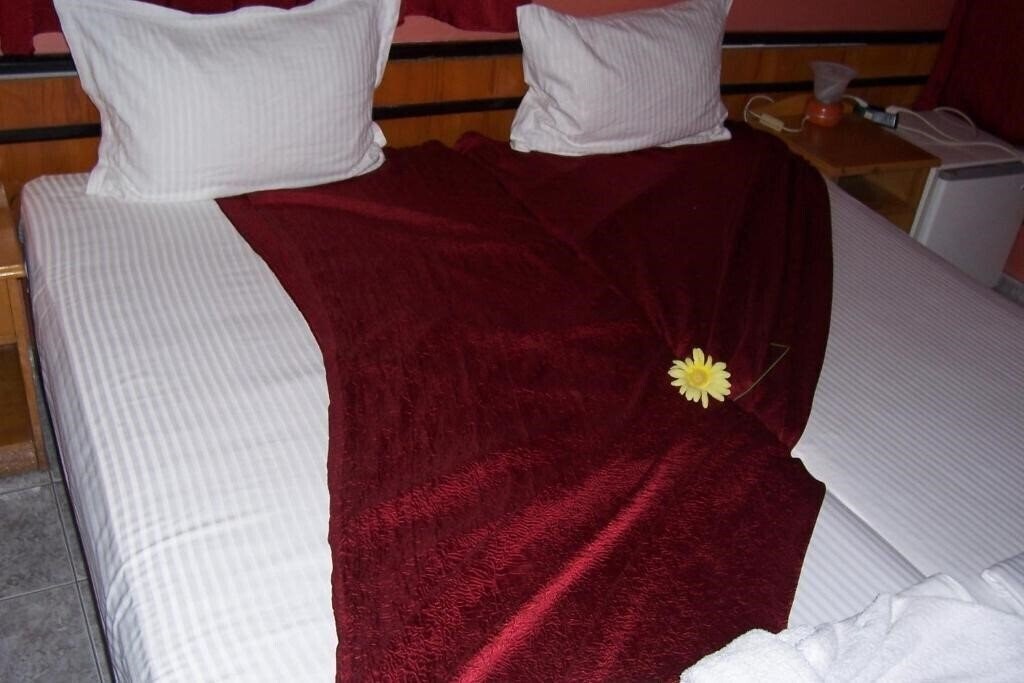 Фото Nelly-Pandora 2*