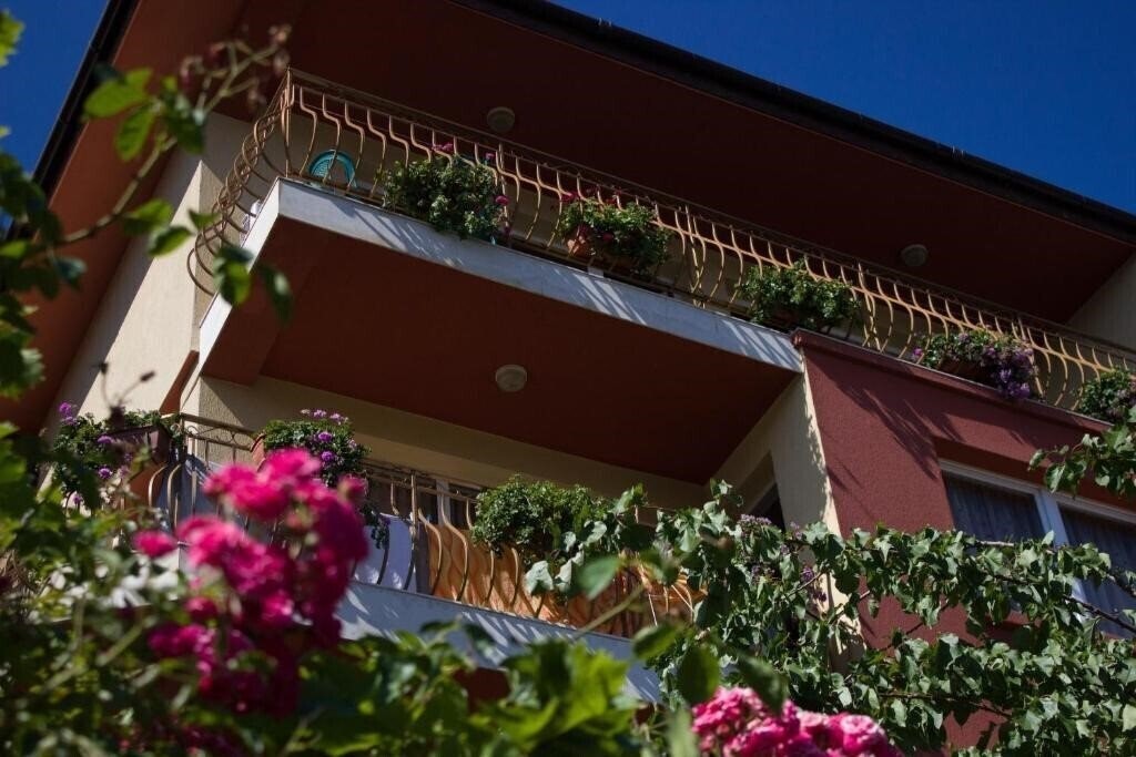 Картинка Villa Violeta 7 3*