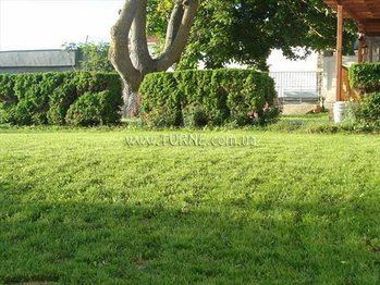 Картинка Casa Martinez 3*