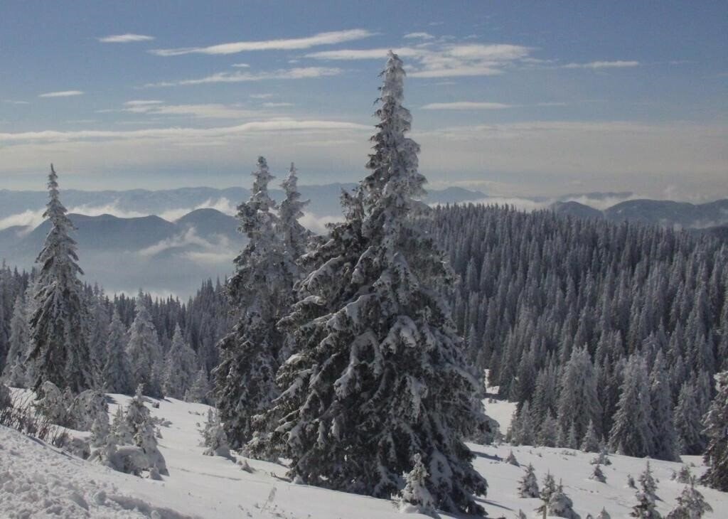 Картинка The Castle 3*