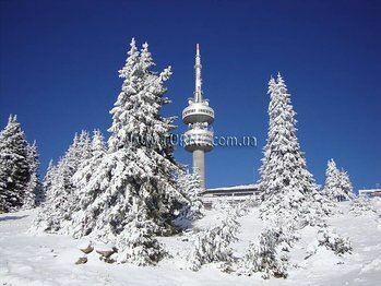 Картинка Елина 3*