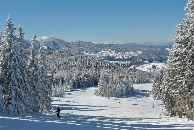 Изображение Елина 3*