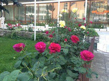 Картинка Paros (ex. Olymp, MANTS II) 3*