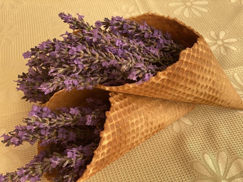 Картинка Plamena Palace 4*