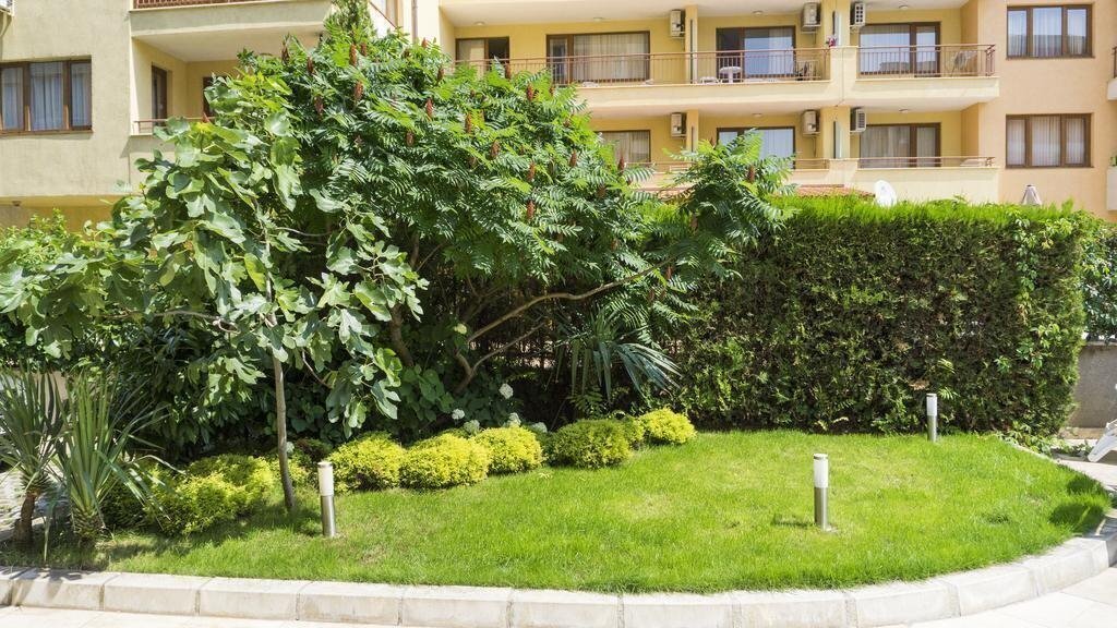 Картинка Darius 3*