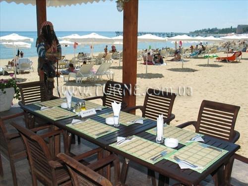 Фотография Palace 5*