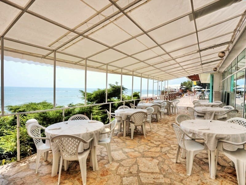 Картинка Veronica 3*