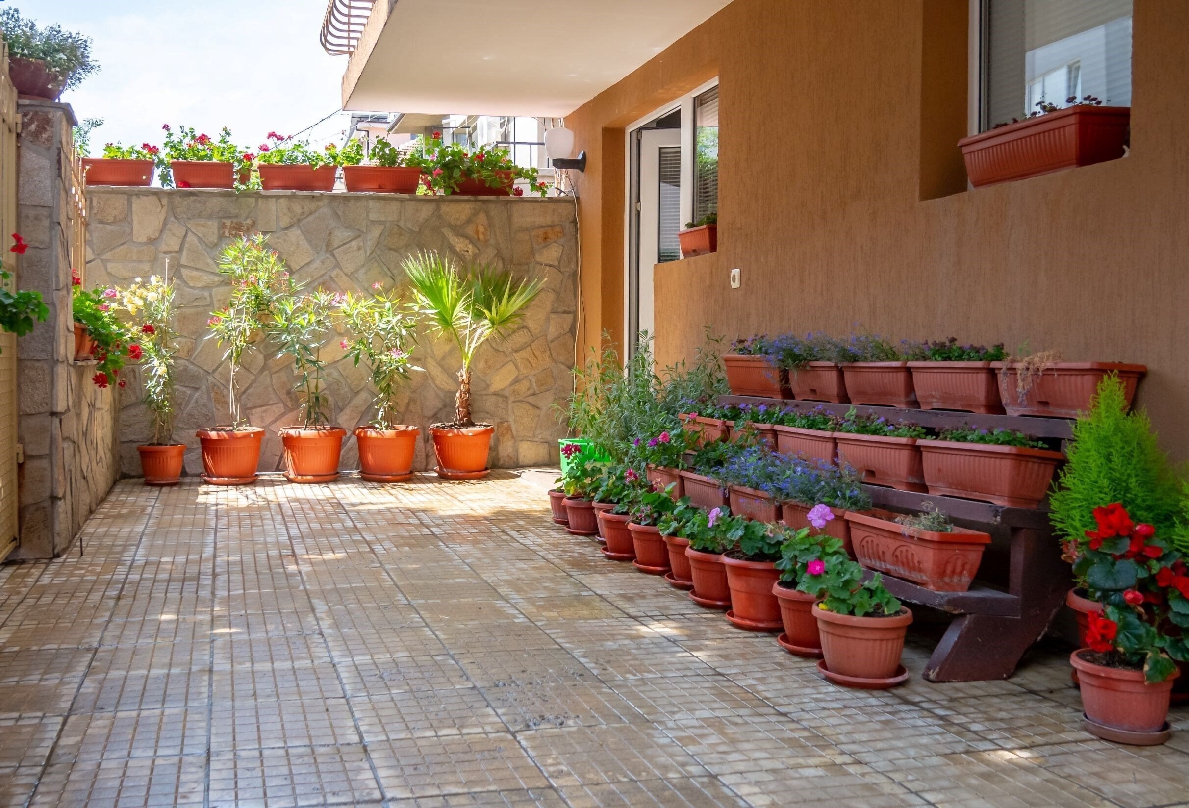 Фотография Elena Villa 3*