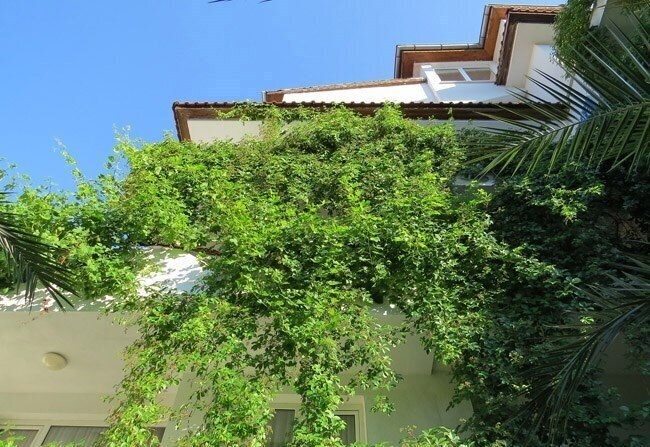 Фотография Sofi Family Hotel 3*