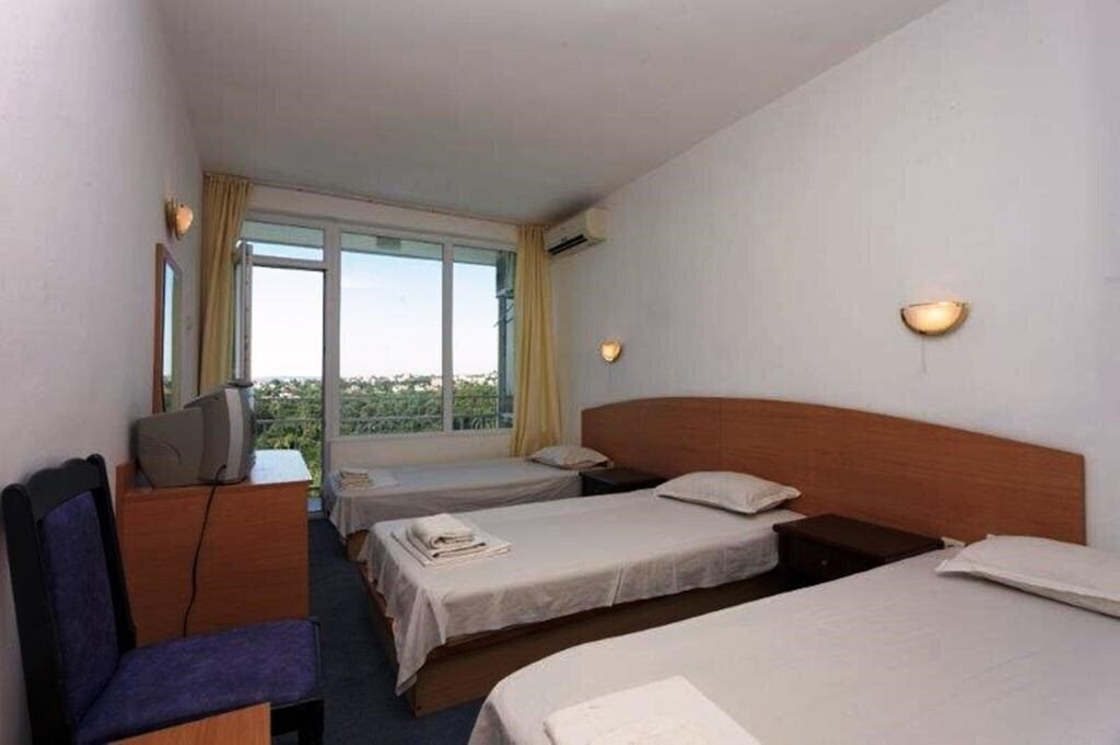 Картинка Geolog 2*