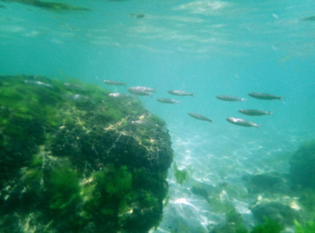 Фотография Sirius Beach 4*