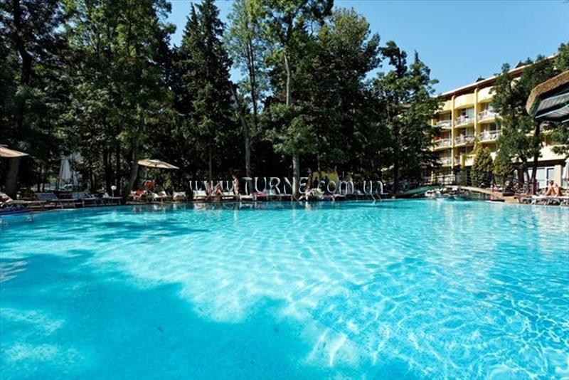 Картинка Бор 3*