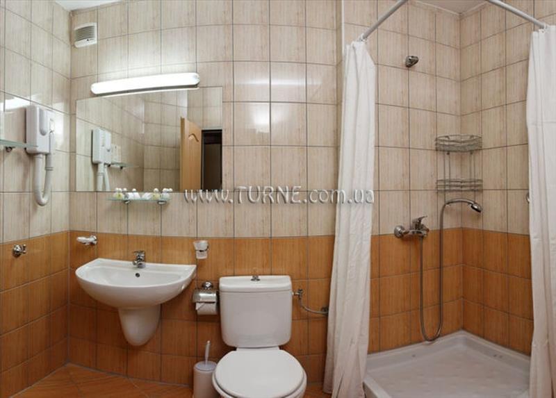 Изображение Бор 3*