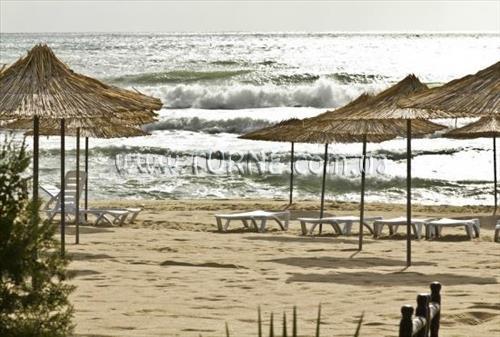 Картинка Kabakum Beach апартаменты