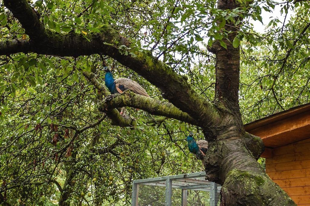 Фото Alexandra Hotel 3*