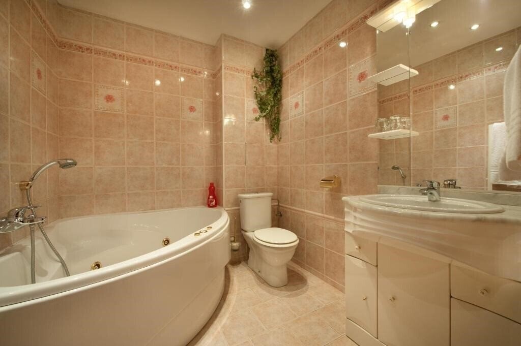 Изображение Henrietta 3*