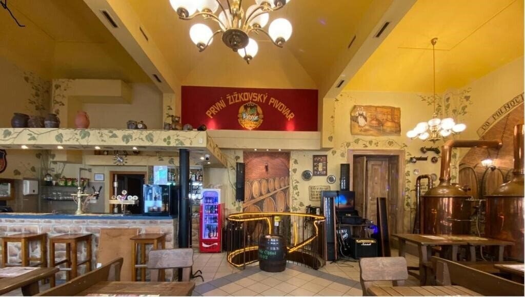 Отель Victor Praha 3*