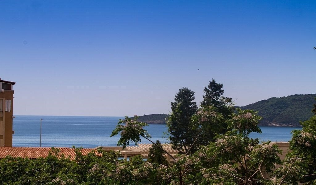 Отель Popovic 3*