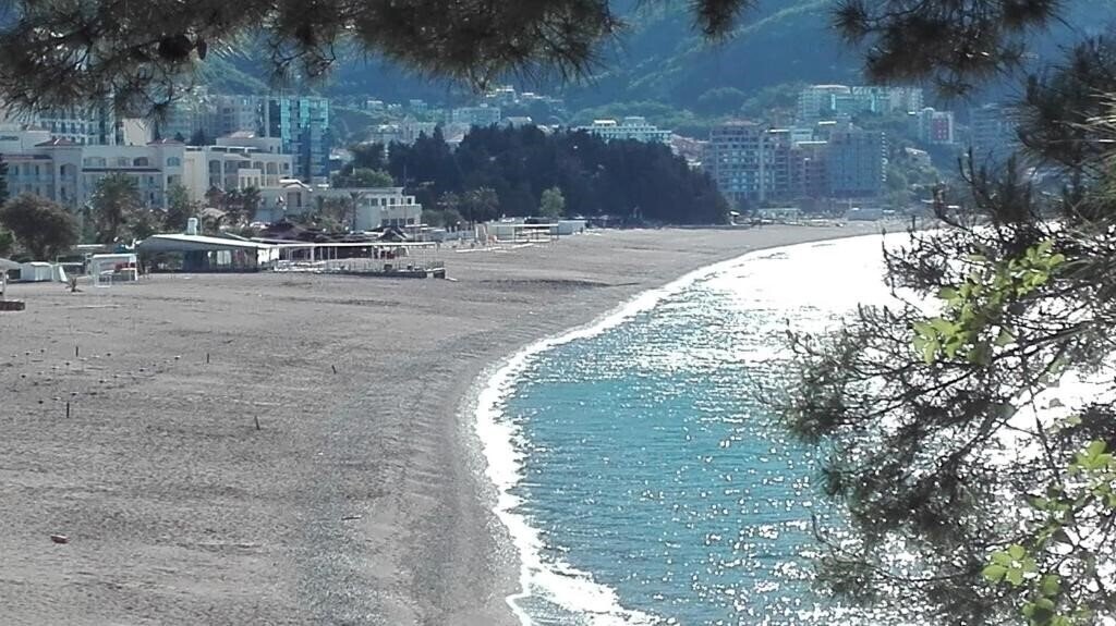 Изображение Petrovic App 3*