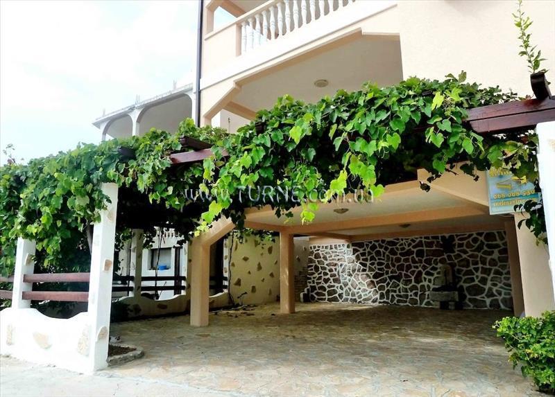 Картинка Papilon 3*