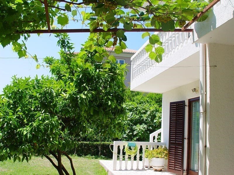 Фотография House Irene 3*