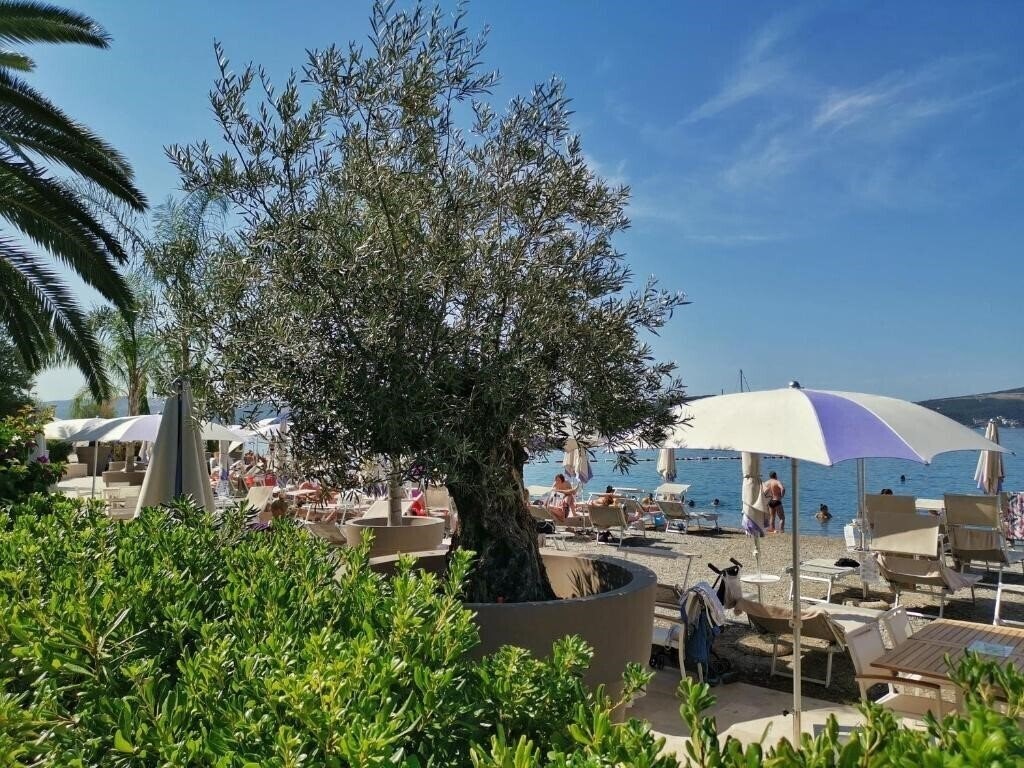 Изображение Villa Vera 2*