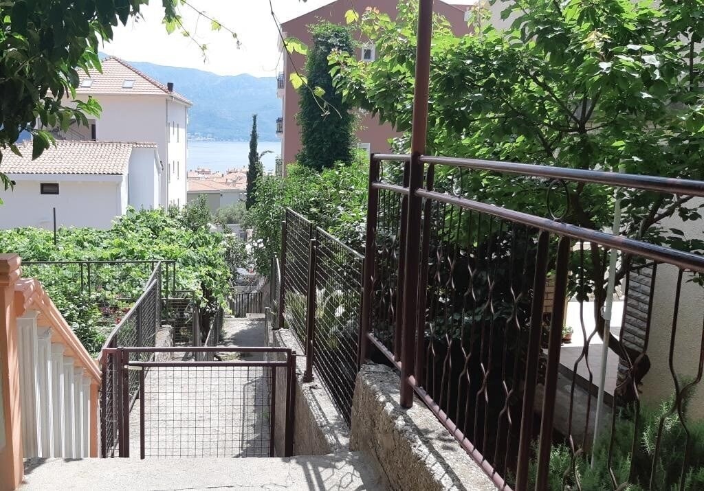 Фотография Zorka 3*