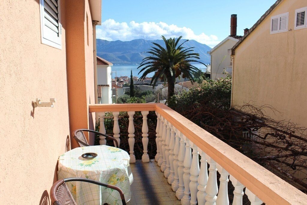 Изображение Zorka 3*