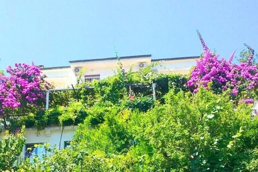 Картинка Madra 3*