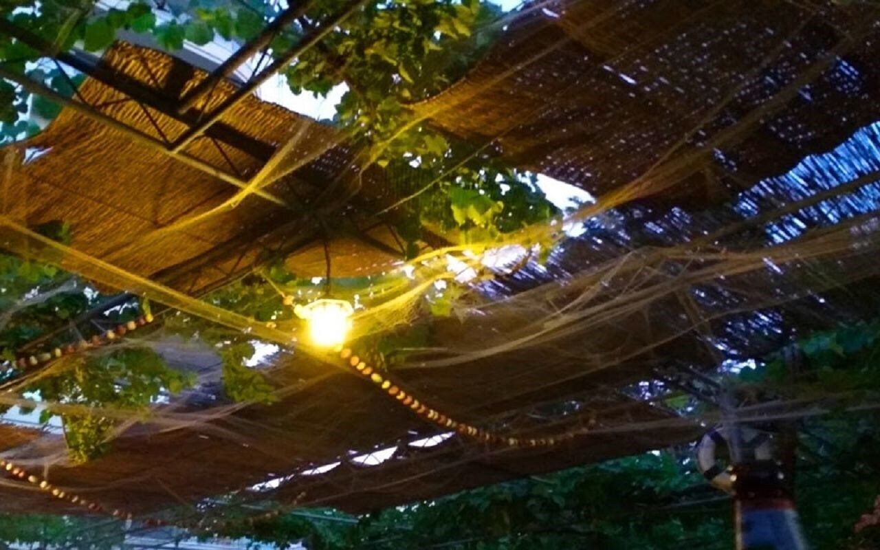 Фотография Apartments Ivo Apart 3*