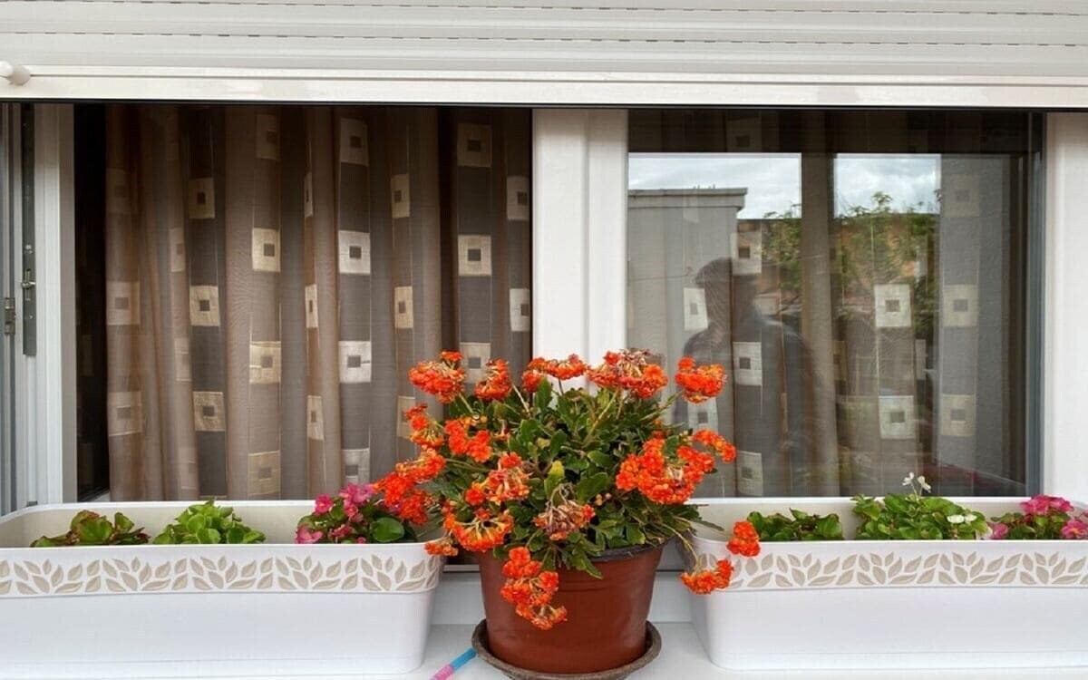 Фотография Lijesevic New Apartments 3*