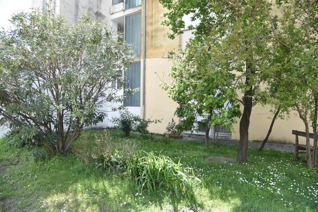 Картинка D&D Apartments Budva-1 4*