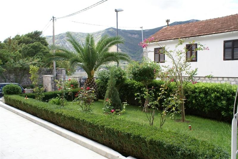 Изображение Radulovic 4*