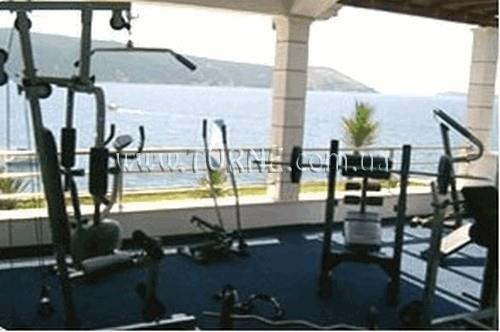 Изображение Mohom 4*