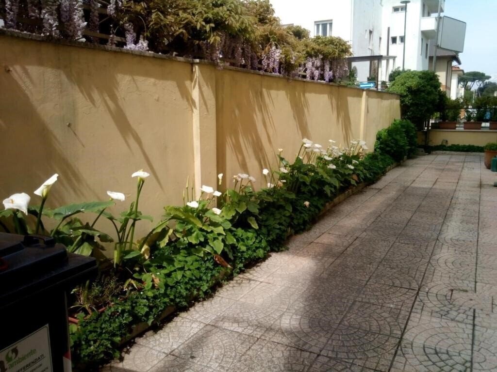 Изображение Hotel Margot 3*