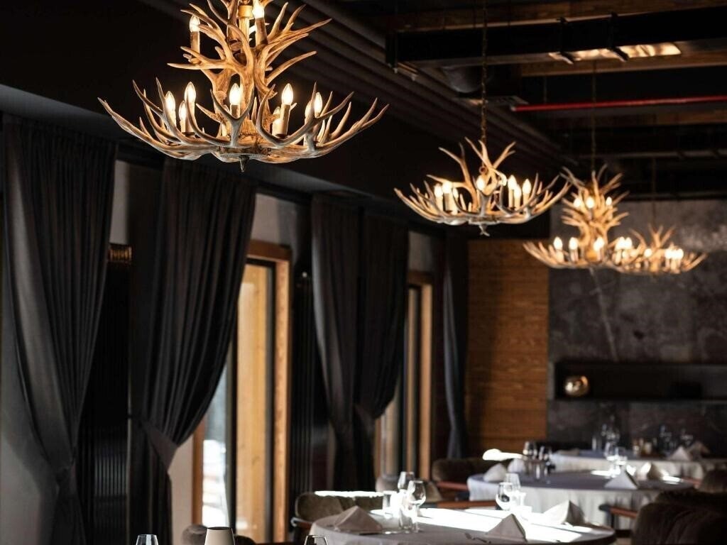 Фотография Swissotel 4*