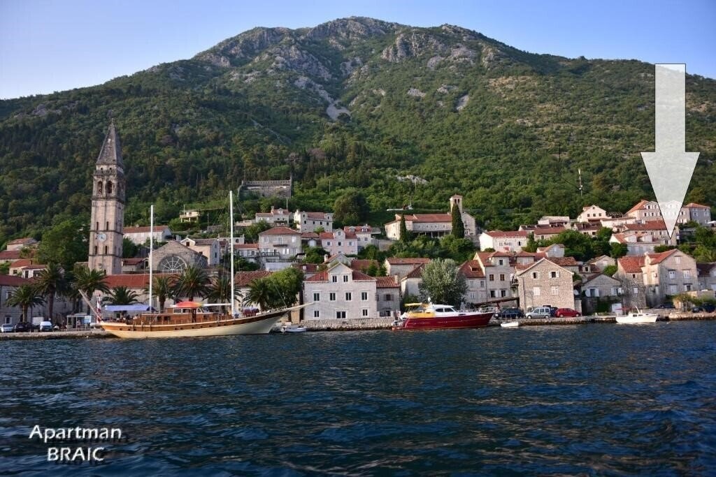 Картинка Braic 3*