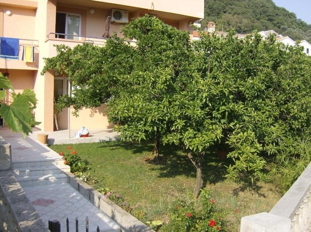 Фотография «Lautasevic» 3*