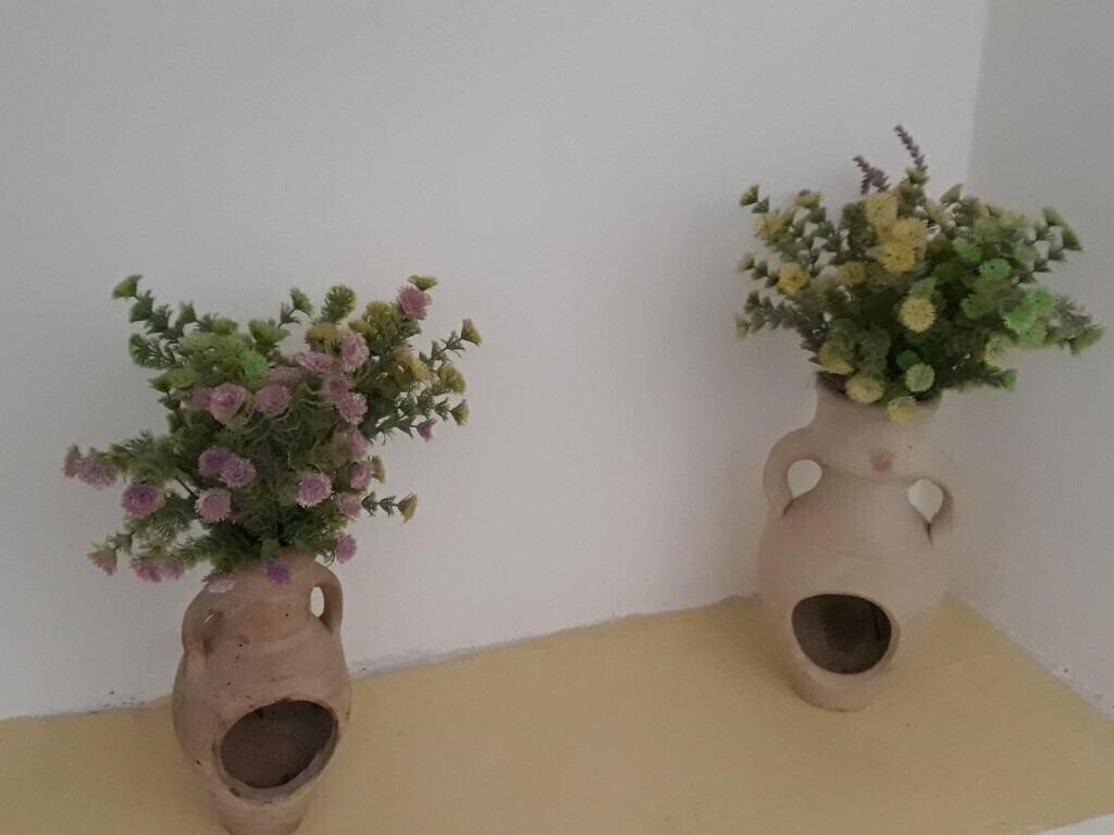 Изображение Teodora Villa 3*