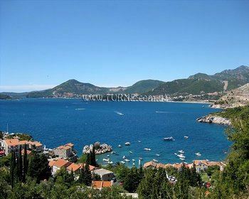 Фотография Roza 3*