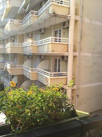 Отель Apartments Olive Terrace 3*