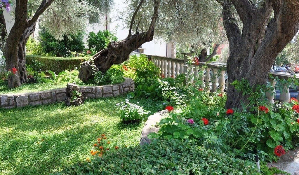 Фотография Petrovic Apart 3*